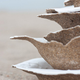 Image for article titled A Plate Made of Sand Sounds Like an Awful Dining Experience